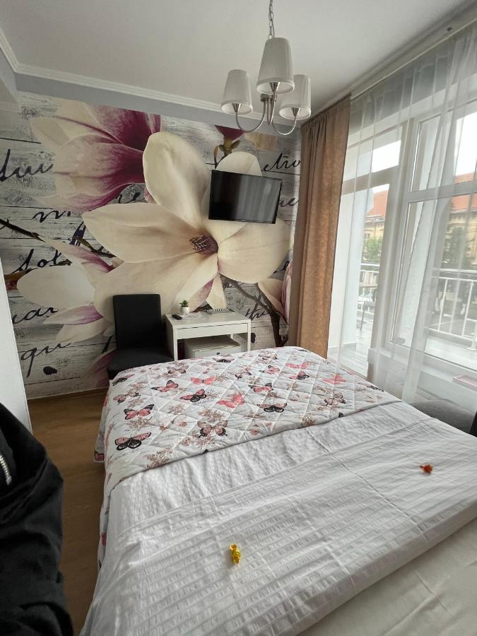 Artmotel & Bistro Haţeg Extérieur photo